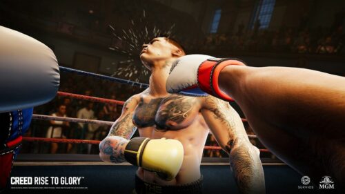 Creed: Rise to Glory VR Steam CD KEY
