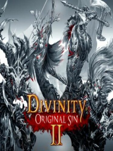 Divinity: Original Sin 2 PC Steam CD KEY