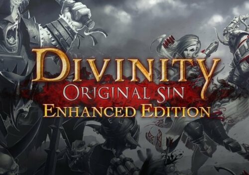 Divinity: Original Sin Steam CD KEY