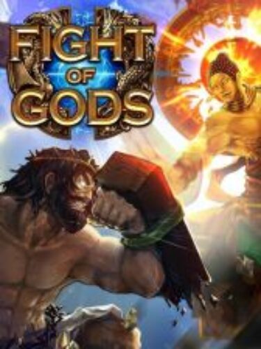 Fight of Gods PC Steam CD KEY