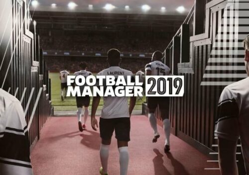 Football Manager 2019 PC Steam CD KEY