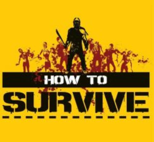 How to Survive PC Steam CD KEY