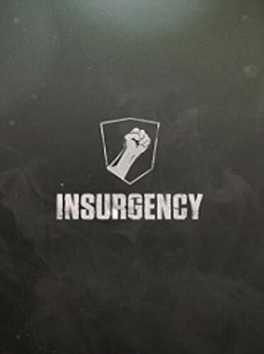 Insurgency PC Steam CD KEY