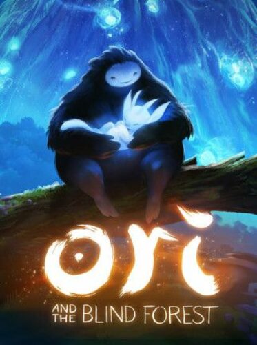 Ori and the Blind Forest Steam CD KEY