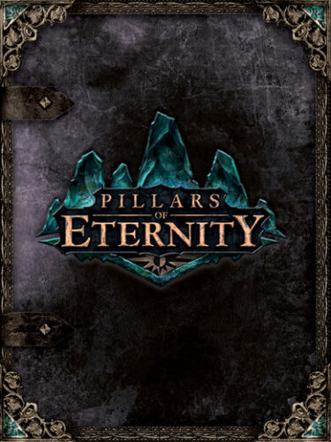Pillars of Eternity PC Steam CD KEY