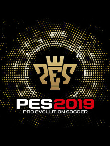 Pro Evolution Soccer 2019 PC Steam CD KEY
