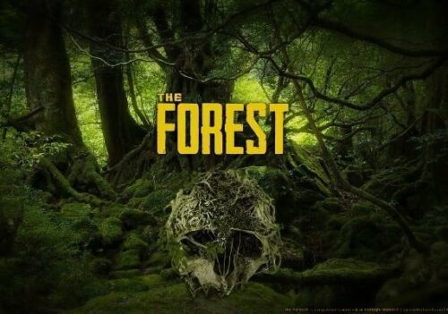 The Forest Gra Steam PC KEY