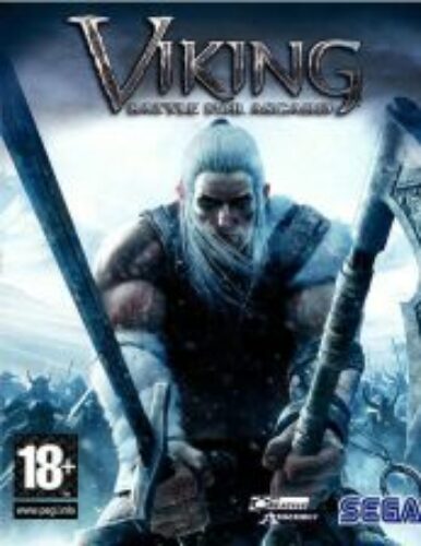 Viking: Battle for Asgard PC Steam CD KEY