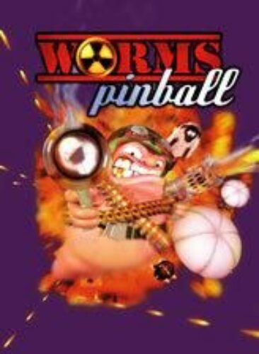 Worms Pinball PC Steam CD KEY